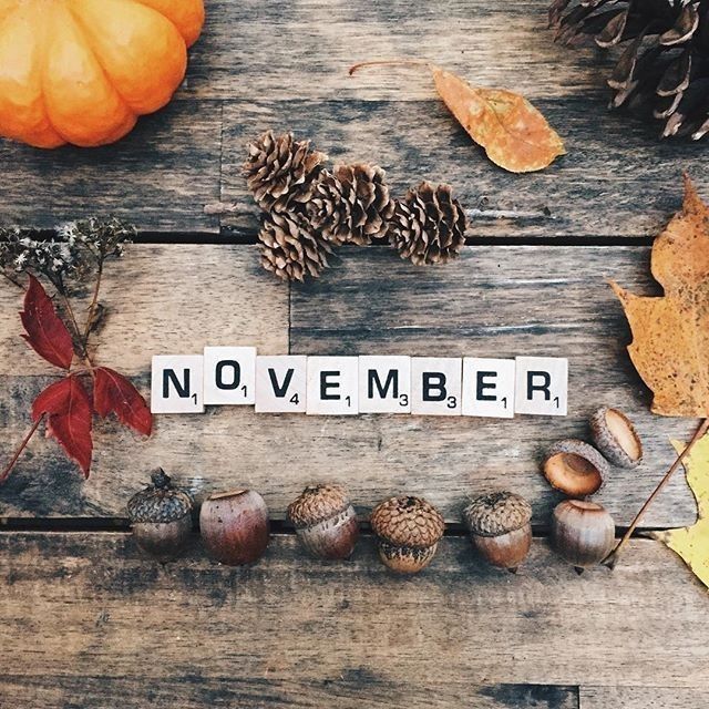 Bienvenido noviembre y sus novias  👰🏻🍁 - 1