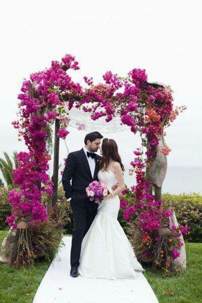 Cambio de color de la boda 💜💜 - 1