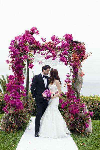 Cambio de color de la boda 💜💜 - 1