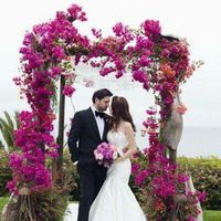 Cambio de color de la boda 💜💜 - 1