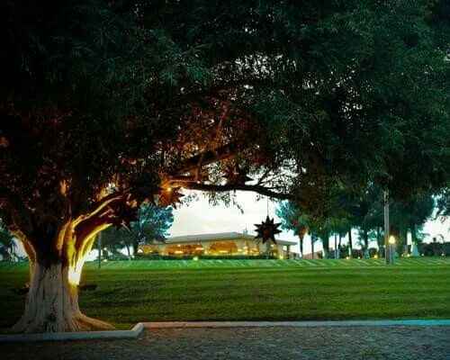 Dilema colores boda otoñó - 2