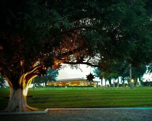 Dilema colores boda otoñó - 2