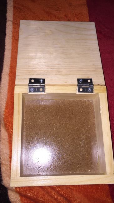 Avances para sopresa para mis damas hola b - 3