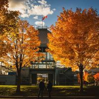 Otoño de puro amor en Canadá