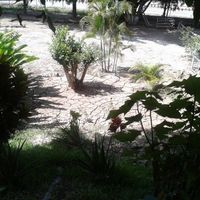 DESASTRE 