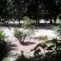FOTO 44
