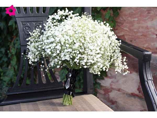 Las flores - 3