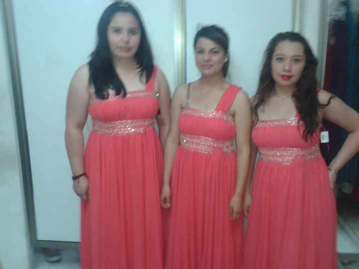 Creo que ya no tendre damas :'(  - 1