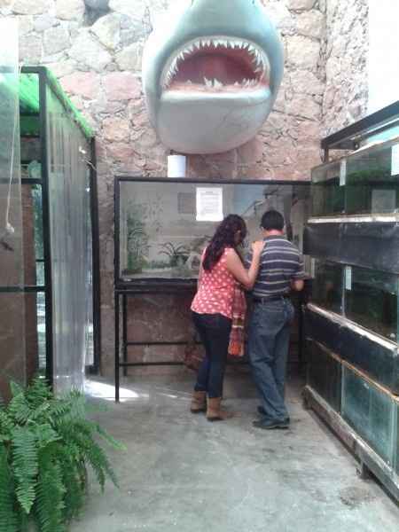 Nadia y José