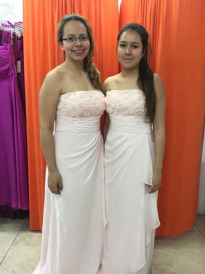 El vestido de mis damas - 1