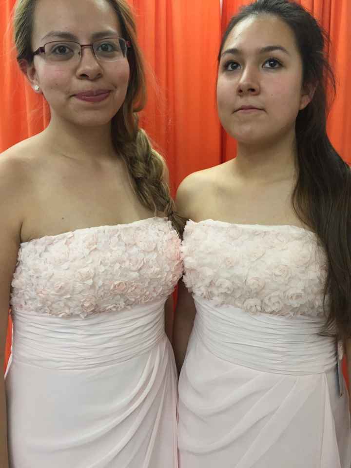 El vestido de mis damas - 2