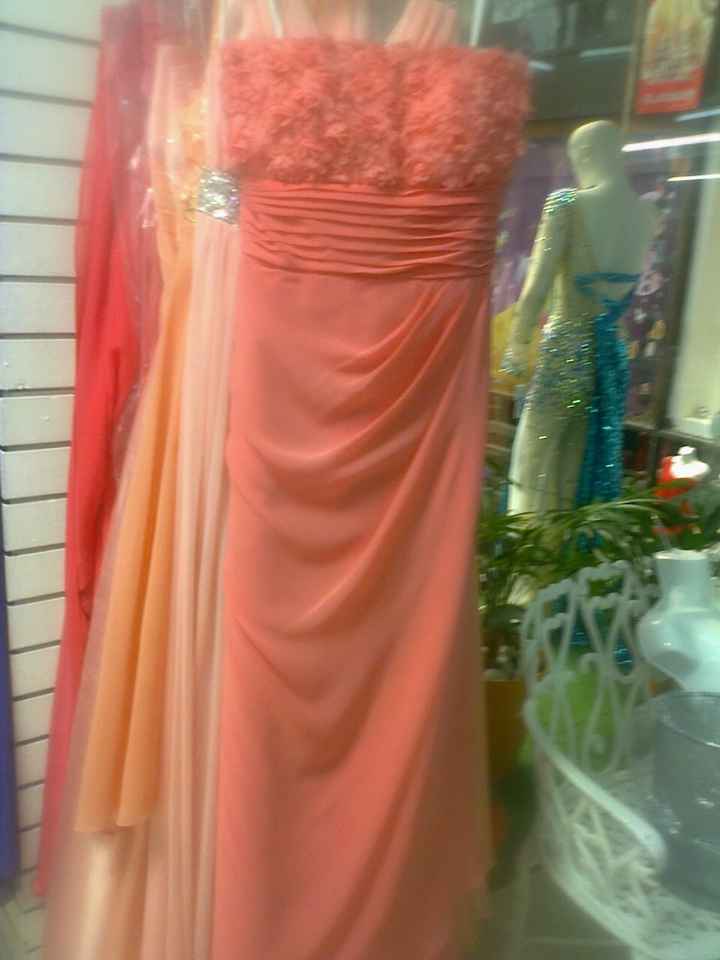El vestido de mis damas - 1