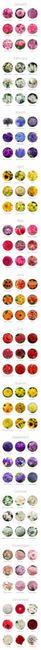Tendencias colores 2017! ayuda! - 1