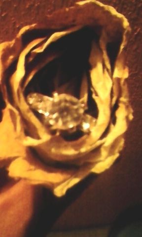 Mi anillo de compromiso 