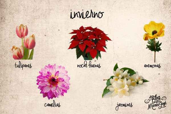 INVIERNO