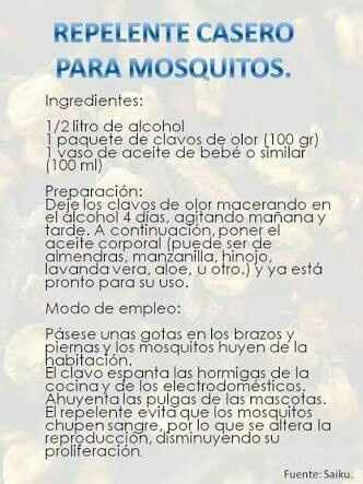 Fiesta en jardín, los mosquitos nos comerán!! - 1