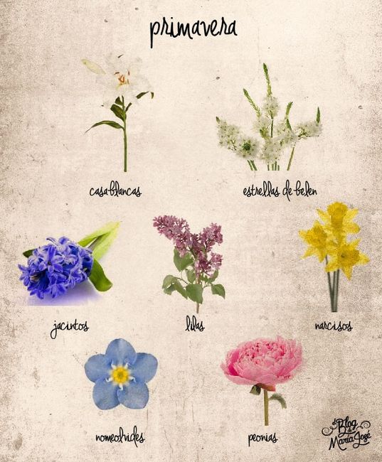 PRIMAVERA