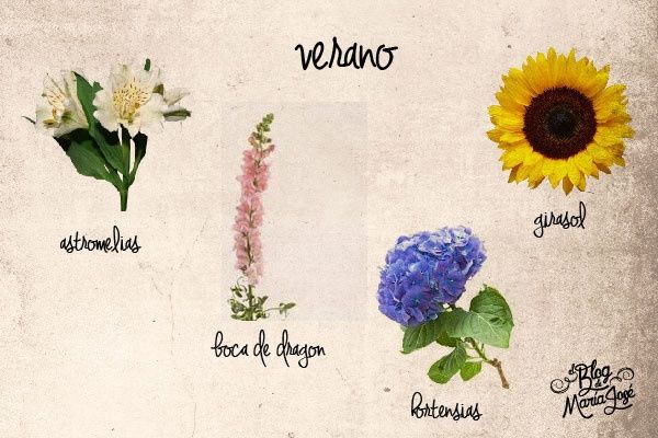 VERANO