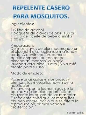 Fiesta en jardín, los mosquitos nos comerán!! - 1