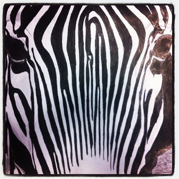 Dibujo zebra