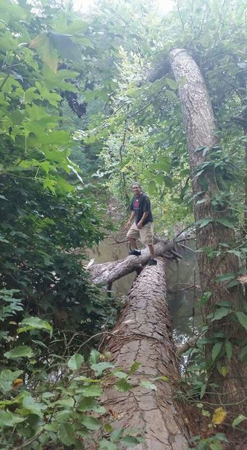 Fotos para diferentes paisajes - 3