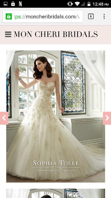 Vestidos de novia poco usuales, pero hermosos - 2