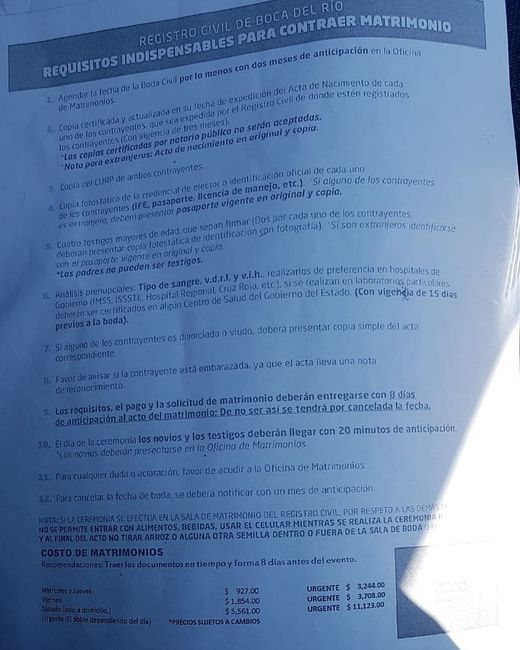 Nos casamos en noviembre: registro civil - 1