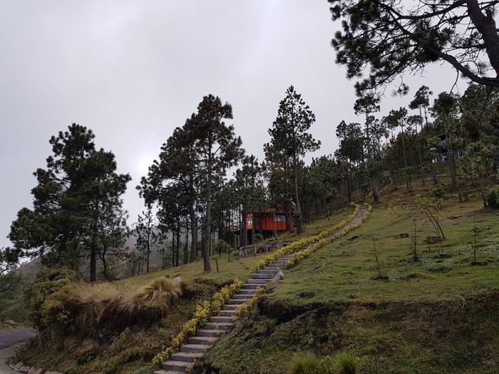 Entrega del reloj de compromiso🤗👫⌚ 2