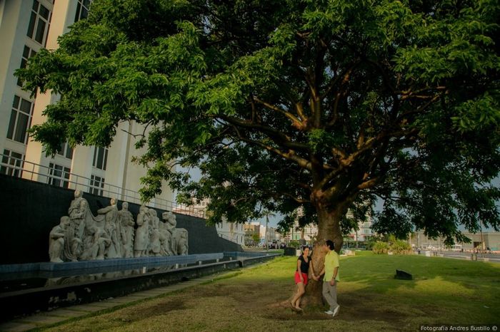 Las locaciones más bonitas de Veracruz (centro), para un sesión de fotos 16