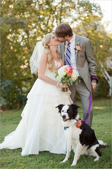 Mis fotos más conmovedoras!! 2