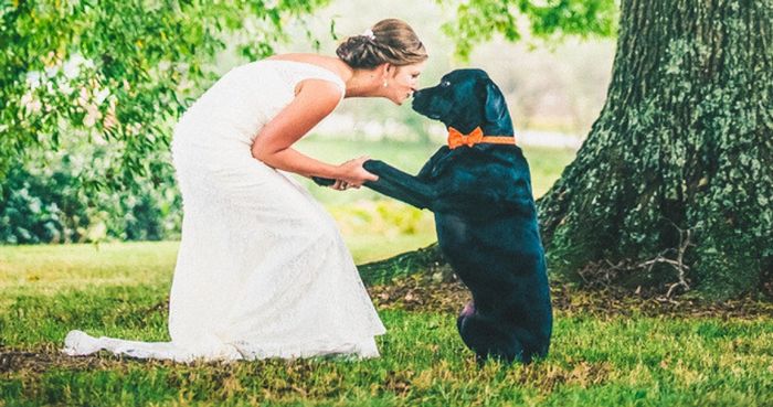 Mis fotos más conmovedoras!! 6