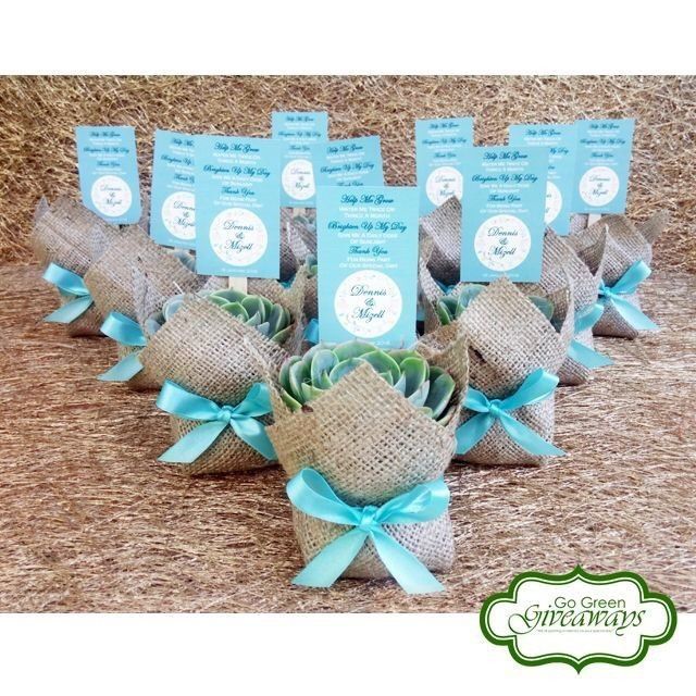 Recuerdos de boda: suculentas 11