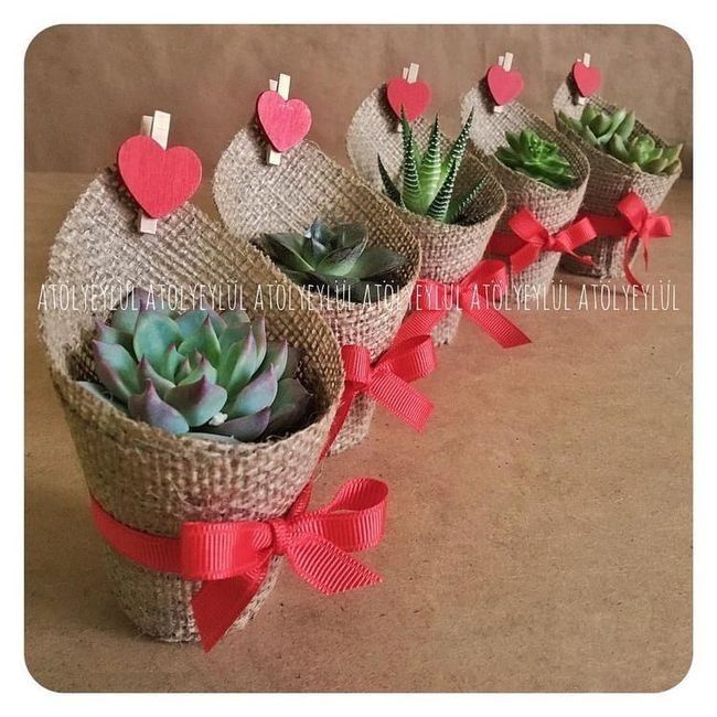 Recuerdos de boda: suculentas 16