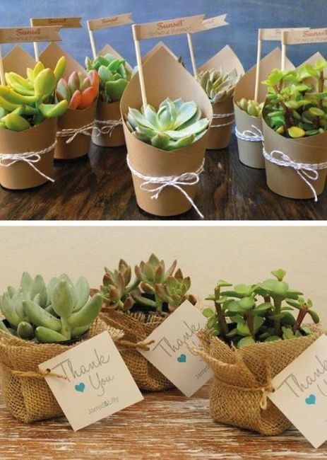 Recuerdos de boda: suculentas 21