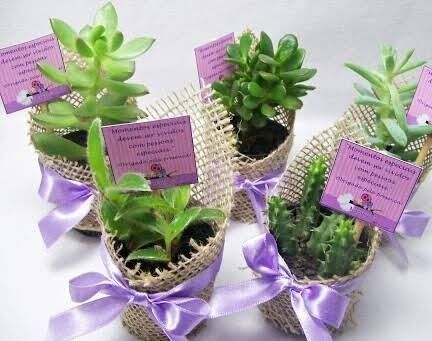 Recuerdos de boda: suculentas 24