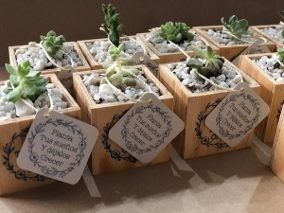 Recuerdos de boda: suculentas 27