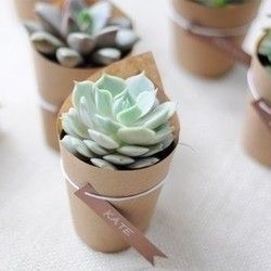 Consejos para recuerdos! 23