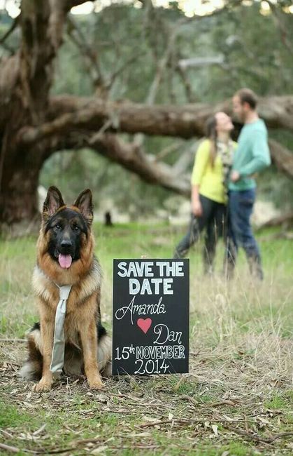 Anuncio de Save the Date ♥ 3