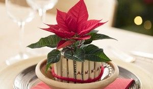 Centros de mesa con toques navideños🌲🎅 20