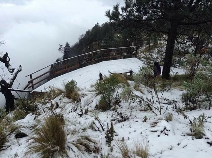 Destino invernal en el Estado de Veracruz para luna de miel romántica 🎄 10