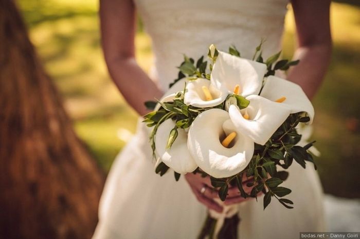 Sugerencias de colores para las flores 28