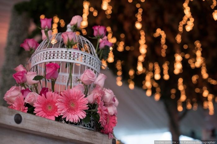 Sugerencias de colores para las flores 36