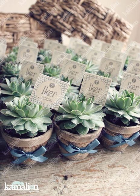 Ideas de recuerdos para los invitados 31