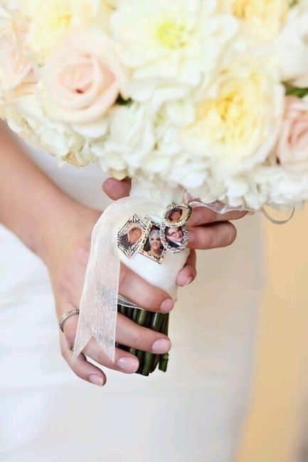 Su mejor foto! 📸 17