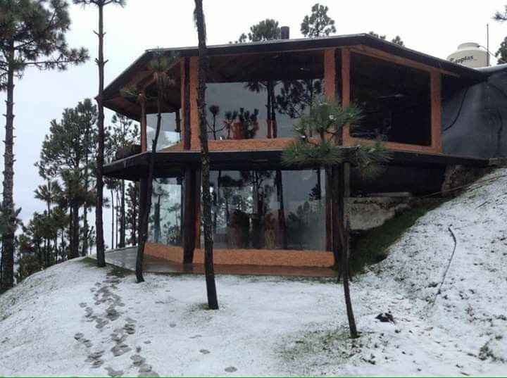 Destino invernal en el Estado de Veracruz para luna de miel romántica 🎄 - 1