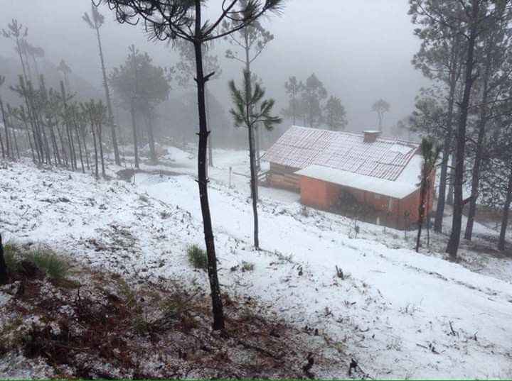 Destino invernal en el Estado de Veracruz para luna de miel romántica 🎄 - 2