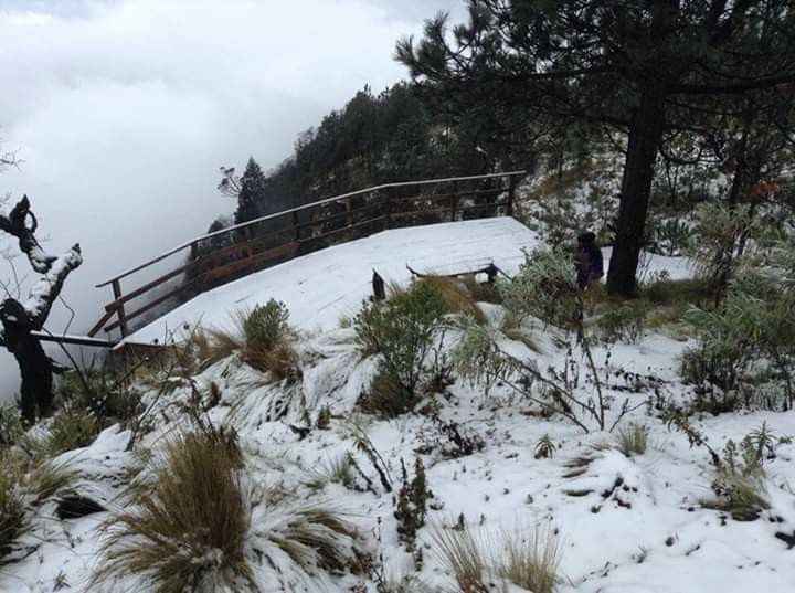 Destino invernal en el Estado de Veracruz para luna de miel romántica 🎄 - 10