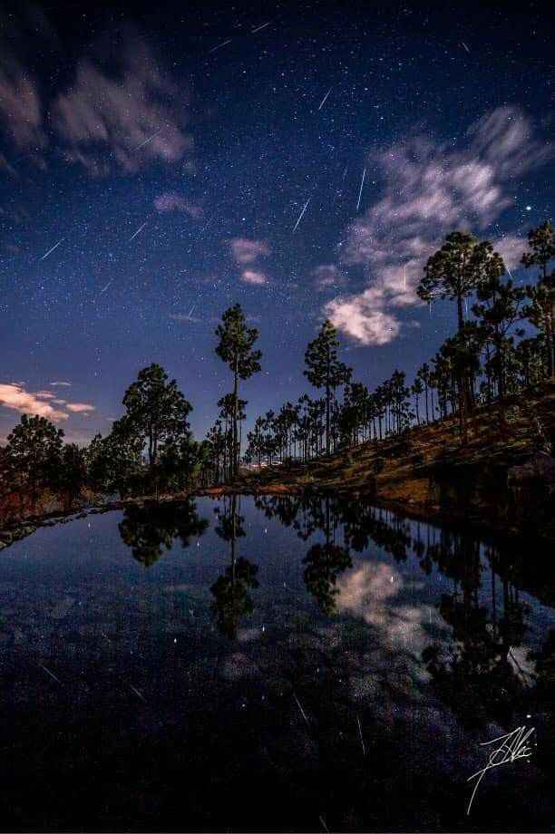 Destino invernal en el Estado de Veracruz para luna de miel romántica 🎄 - 12