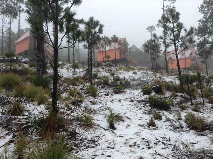 Destino invernal en el Estado de Veracruz para luna de miel romántica 🎄 - 17