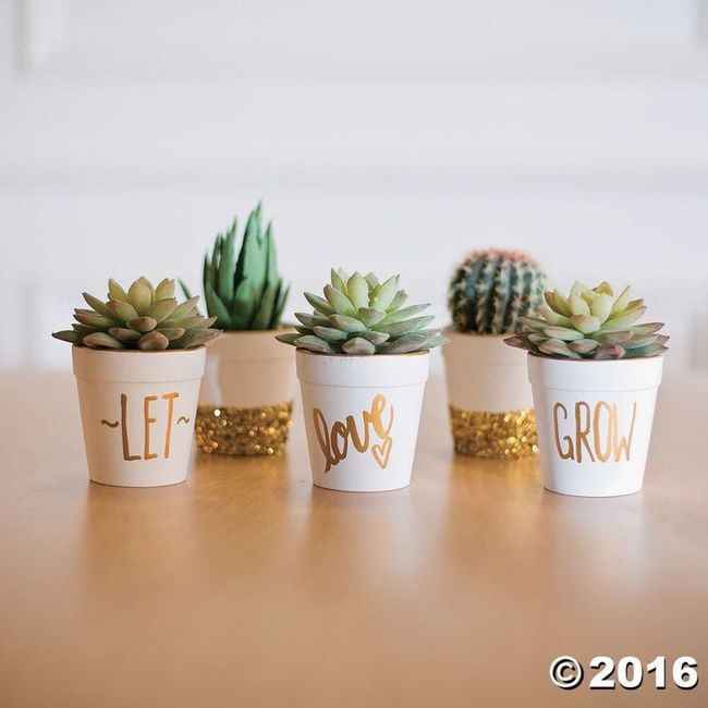 Recuerdos, ¿si o No? 14